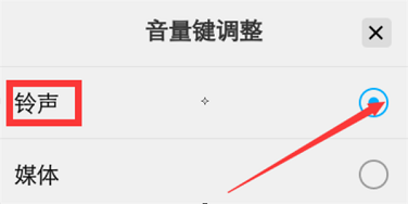 vivo NEX雙屏版怎么調節音量大小? 