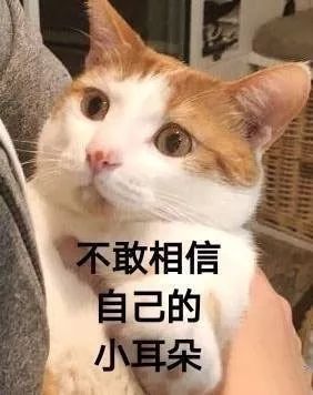神奇，丟失一年的蘋果手機從韓國被找回